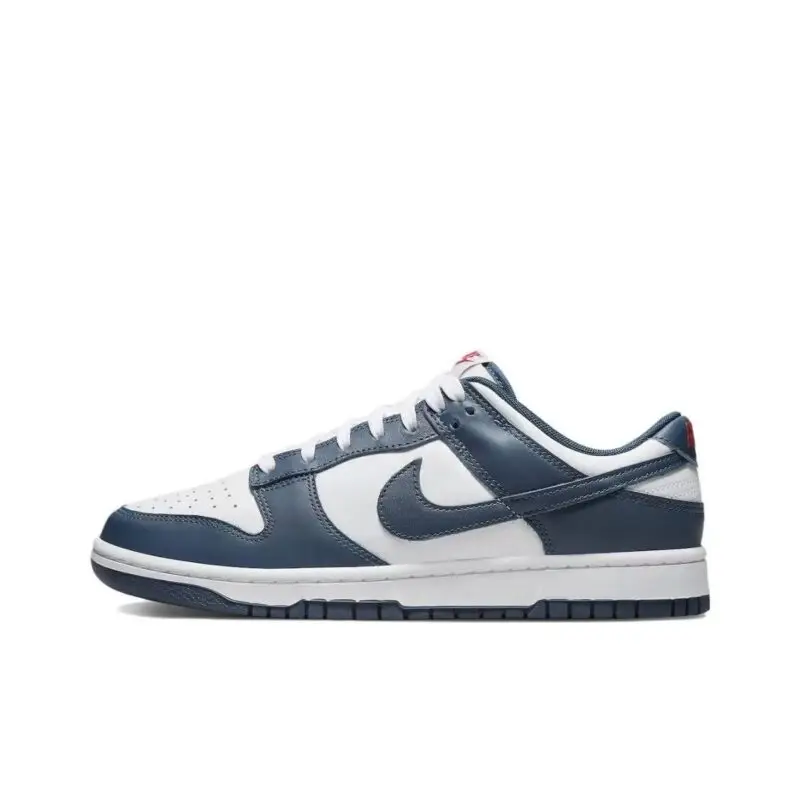 Nike Dunk Retro Blue
